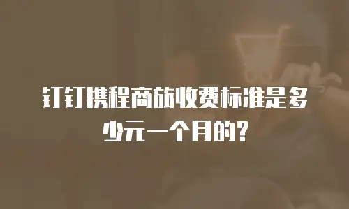 钉钉携程商旅收费标准是多少元一个月的？