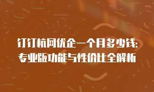 钉钉杭网优企一个月多少钱：专业版功能与性价比全解析