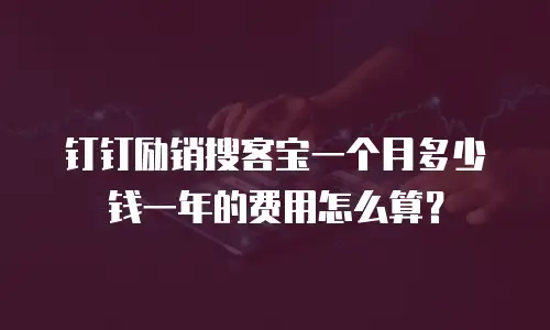 钉钉励销搜客宝一个月多少钱一年的费用怎么算？
