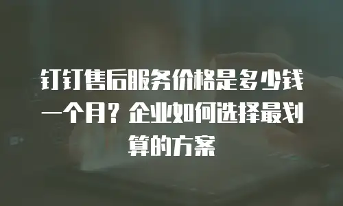 钉钉售后服务价格是多少钱一个月？企业如何选择最划算的方案