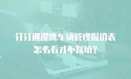 钉钉巡逻鹰车辆管理报价表怎么看才不踩坑？