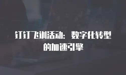 钉钉飞训活动：数字化转型的加速引擎