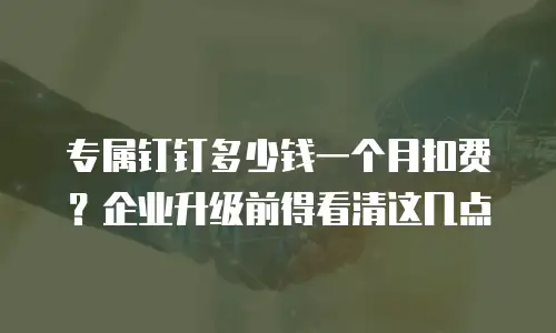 专属钉钉多少钱一个月扣费？企业升级前得看清这几点