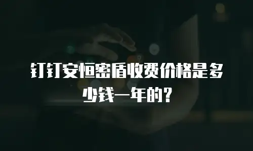 钉钉安恒密盾收费价格是多少钱一年的？