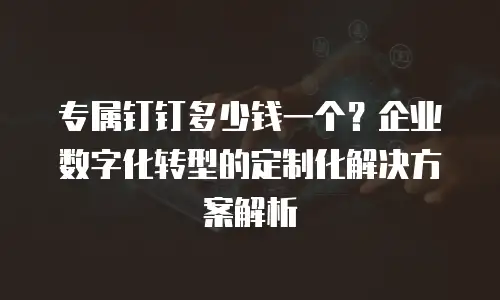 专属钉钉多少钱一个？企业数字化转型的定制化解决方案解析