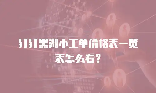 钉钉黑湖小工单价格表一览表怎么看？