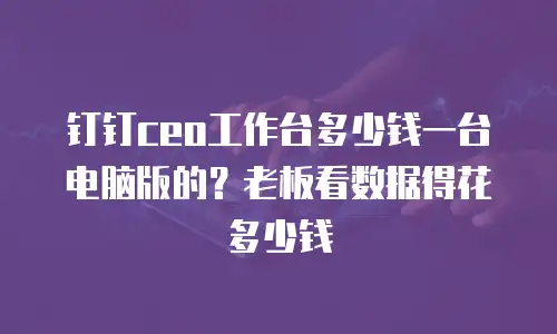 钉钉ceo工作台多少钱一台电脑版的？老板看数据得花多少钱