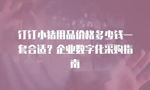 钉钉小猪用品价格多少钱一套合适？企业数字化采购指南