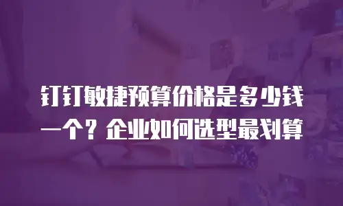 钉钉敏捷预算价格是多少钱一个？企业如何选型最划算