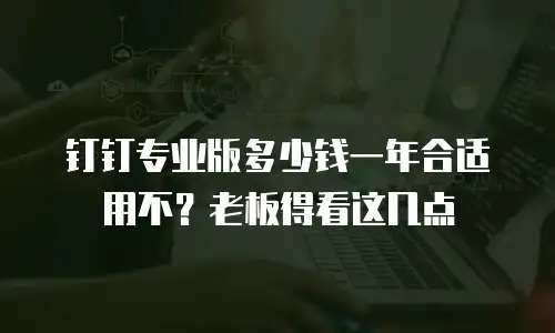 钉钉专业版多少钱一年合适用不？老板得看这几点