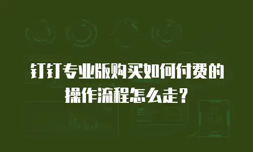 钉钉专业版购买如何付费的操作流程怎么走？