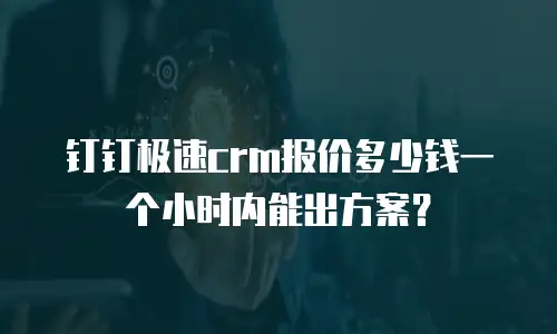 钉钉极速crm报价多少钱一个小时内能出方案？