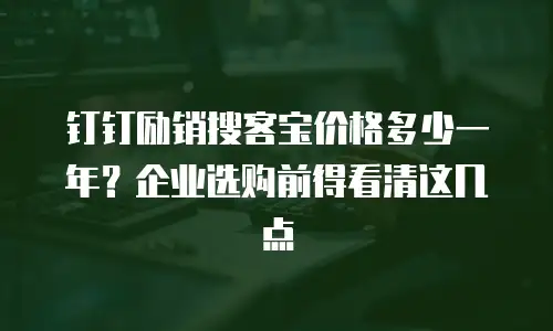 钉钉励销搜客宝价格多少一年？企业选购前得看清这几点