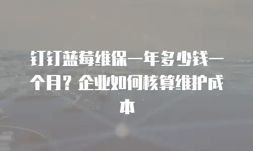 钉钉蓝莓维保一年多少钱一个月？企业如何核算维护成本
