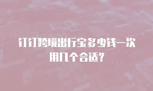 钉钉跨境出行宝多少钱一次用几个合适？