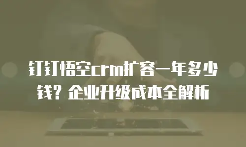 钉钉悟空crm扩容一年多少钱？企业升级成本全解析
