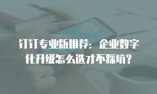 钉钉专业版推荐：企业数字化升级怎么选才不踩坑？