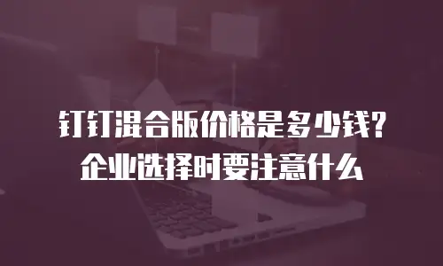 钉钉混合版价格是多少钱？企业选择时要注意什么