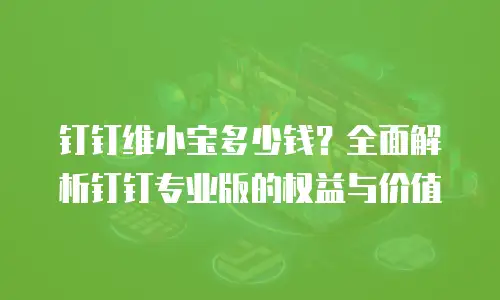 钉钉维小宝多少钱？全面解析钉钉专业版的权益与价值