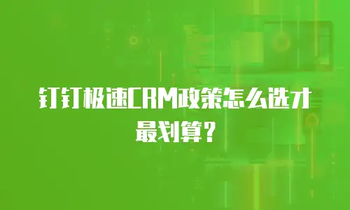 钉钉极速CRM政策怎么选才最划算？