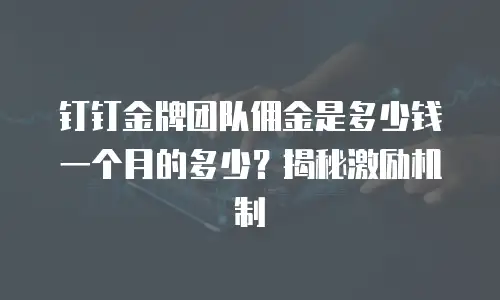 钉钉金牌团队佣金是多少钱一个月的多少？揭秘激励机制