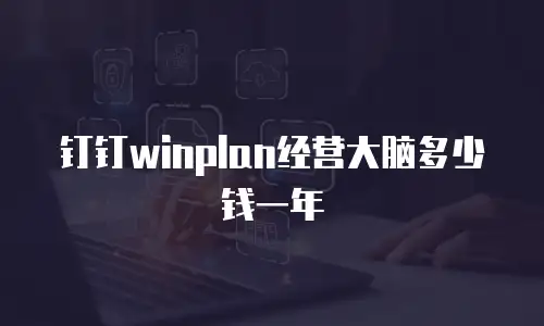 钉钉winplan经营大脑多少钱一年