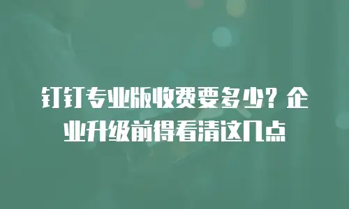 钉钉专业版收费要多少？企业升级前得看清这几点