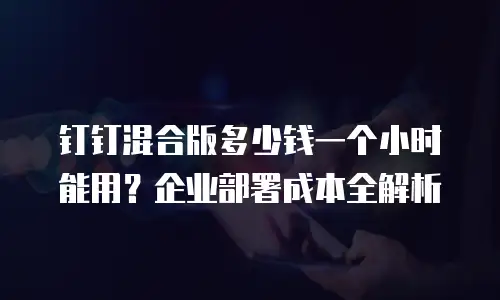 钉钉混合版多少钱一个小时能用？企业部署成本全解析