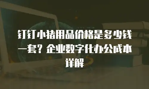 钉钉小猪用品价格是多少钱一套？企业数字化办公成本详解