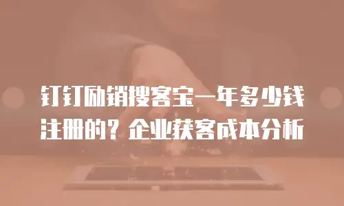钉钉励销搜客宝一年多少钱注册的？企业获客成本分析
