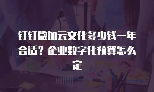 钉钉微加云文化多少钱一年合适？企业数字化预算怎么定