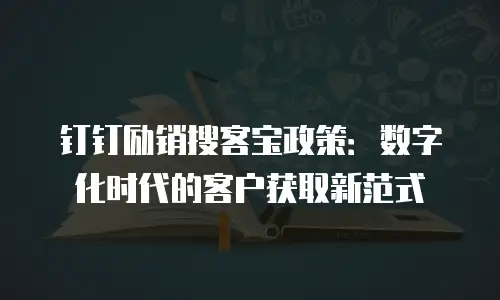 钉钉励销搜客宝政策：数字化时代的客户获取新范式