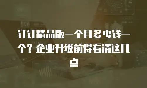 钉钉精品版一个月多少钱一个？企业升级前得看清这几点