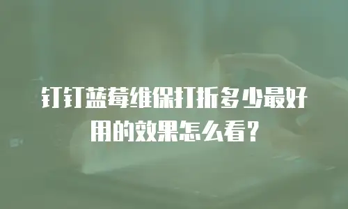 钉钉蓝莓维保打折多少最好用的效果怎么看？