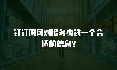 钉钉国网对接多少钱一个合适的信息？