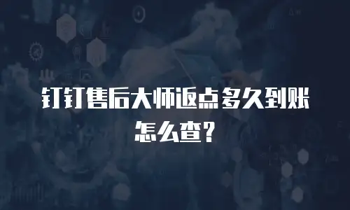 钉钉售后大师返点多久到账怎么查？