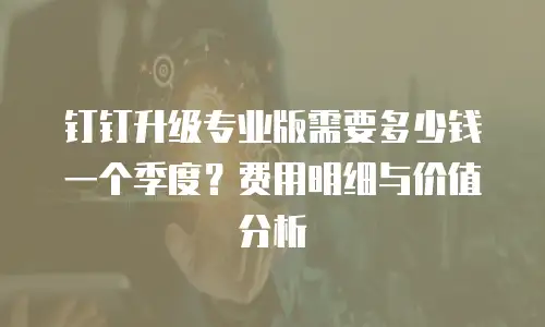 钉钉升级专业版需要多少钱一个季度？费用明细与价值分析