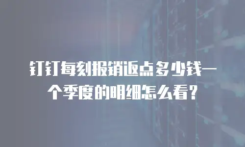 钉钉每刻报销返点多少钱一个季度的明细怎么看？