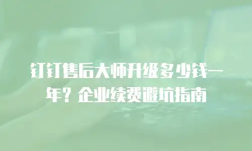 钉钉售后大师升级多少钱一年？企业续费避坑指南