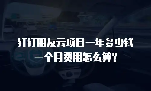 钉钉用友云项目一年多少钱一个月费用怎么算？