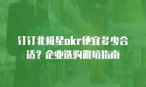 钉钉北极星okr便宜多少合适？企业选购避坑指南