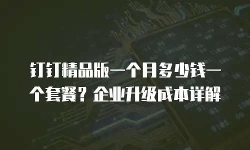 钉钉精品版一个月多少钱一个套餐？企业升级成本详解