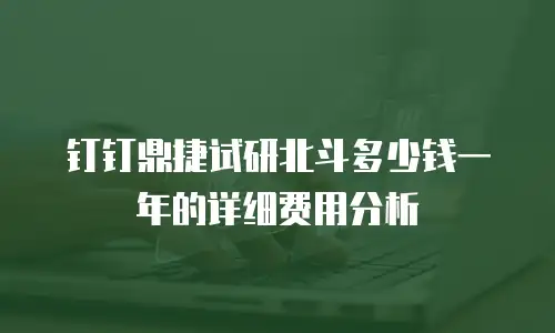 钉钉鼎捷试研北斗多少钱一年的详细费用分析