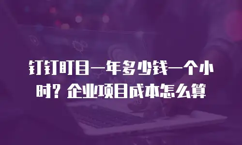 钉钉盯目一年多少钱一个小时？企业项目成本怎么算