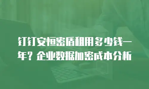 钉钉安恒密盾租用多少钱一年？企业数据加密成本分析