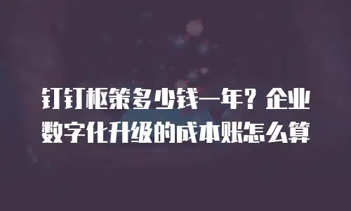 钉钉枢策多少钱一年？企业数字化升级的成本账怎么算