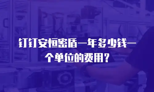 钉钉安恒密盾一年多少钱一个单位的费用？