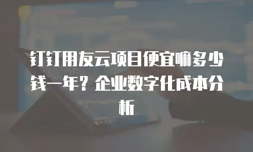 钉钉用友云项目便宜嘛多少钱一年？企业数字化成本分析