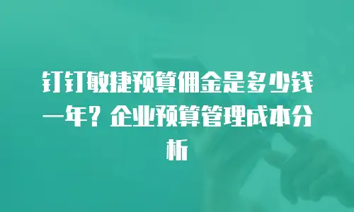 钉钉敏捷预算佣金是多少钱一年？企业预算管理成本分析