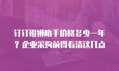 钉钉橙狮助手价格多少一年？企业采购前得看清这几点
